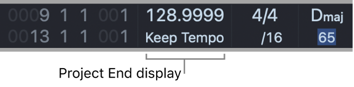 Figure. Project End display in the LCD.