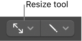 Figure. Resize tool.