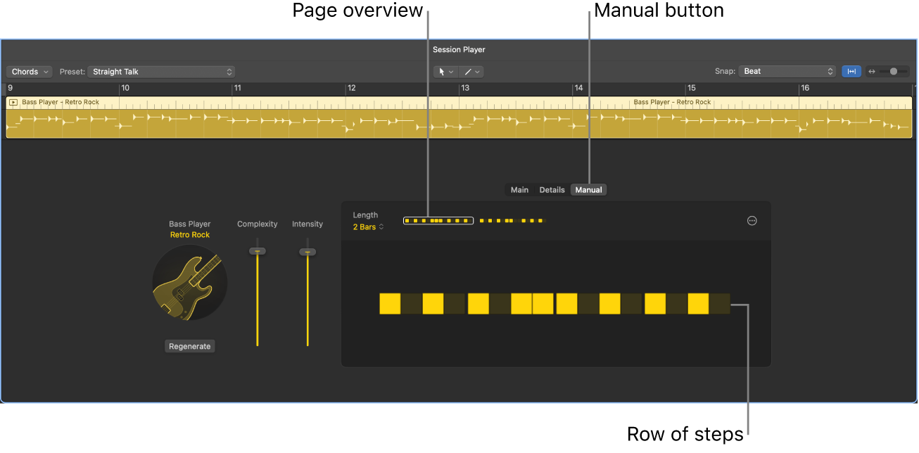 Figure. Manual view in the Session Player Editor.