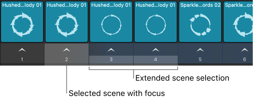 Figure. Multiple selected scenes.