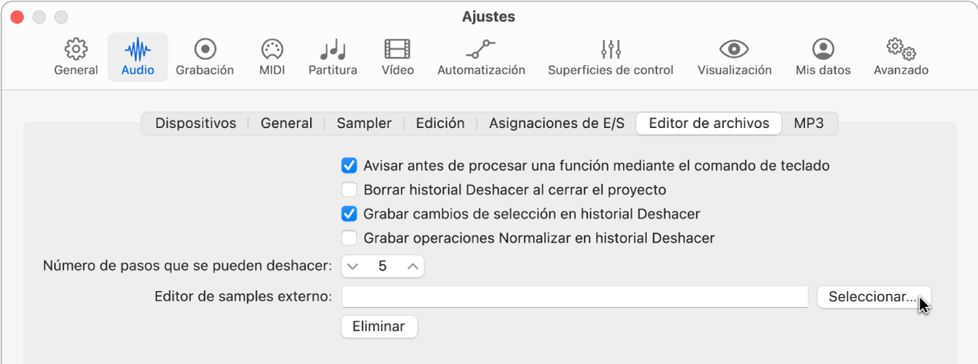 Ilustración. Panel “Editor de archivos” en los ajustes de Audio.