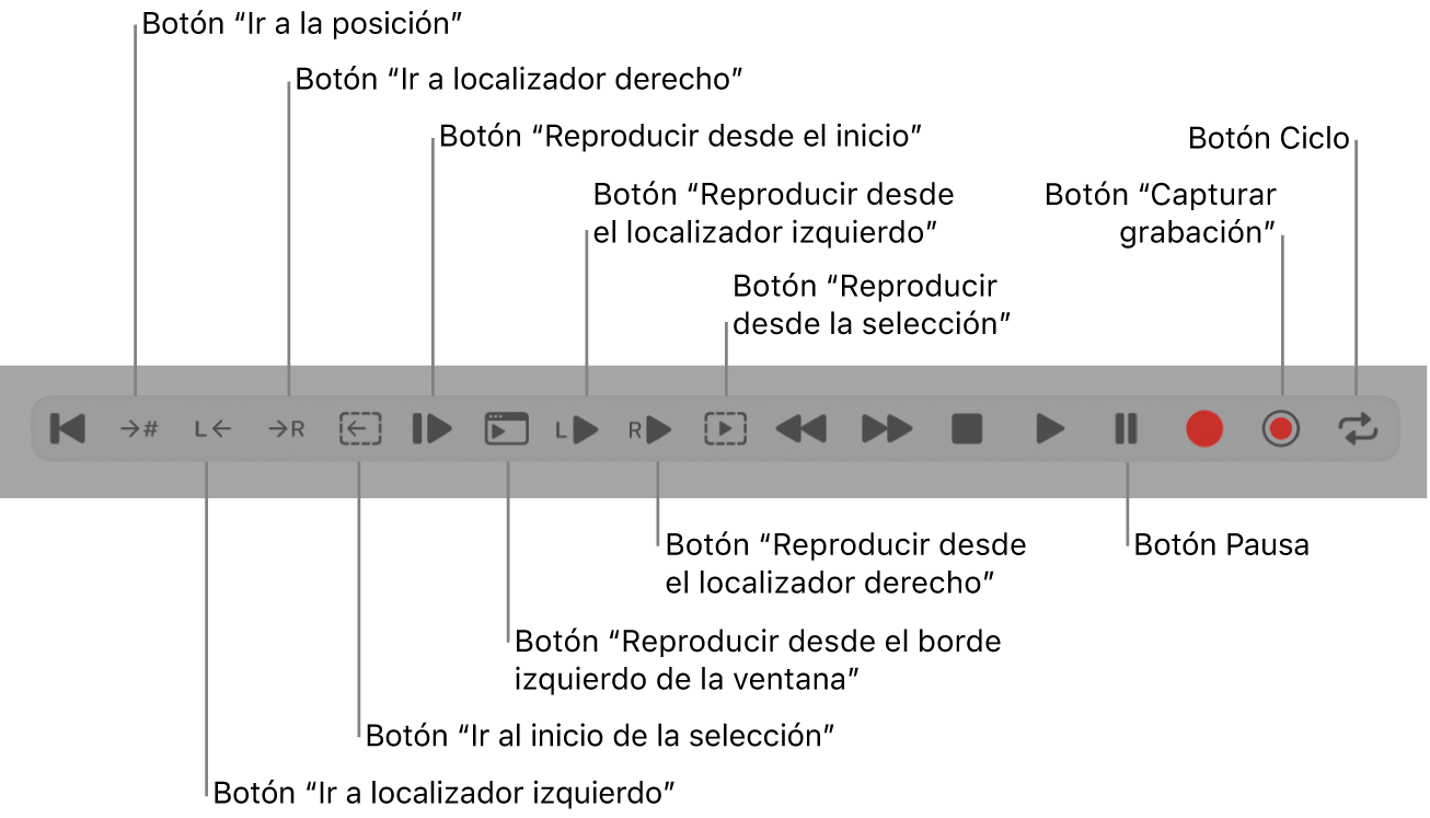 Ilustración. Botones de transporte, incluidos todos los botones adicionales.