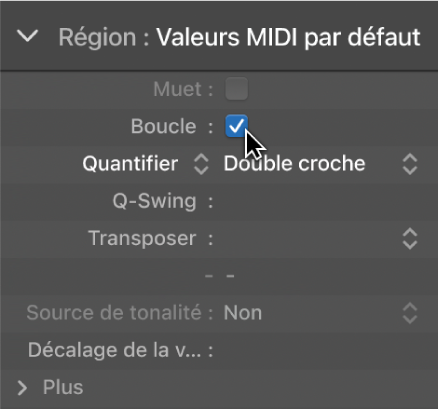 Figure. Case du paramètre Boucle dans l’inspecteur de région.