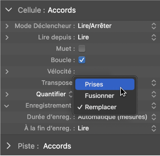 Figure. Menu local Enregistrement dans l’inspecteur de cellule affichant les modes d’enregistrement.