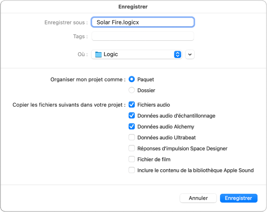 Figure. Cases situées en bas de la zone de dialogue Enregistrer sous, afin de sélectionner les ressources à enregistrer dans le projet.