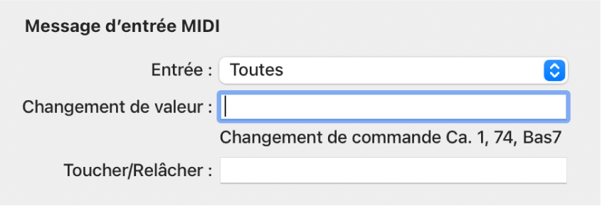 Figure. Paramètres de message en entrée en présentation Expert.