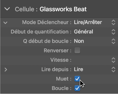 Figure. Case Muet dans l’inspecteur de cellule.