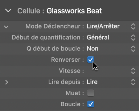 Figure. Case Inverser dans l’inspecteur de cellule.