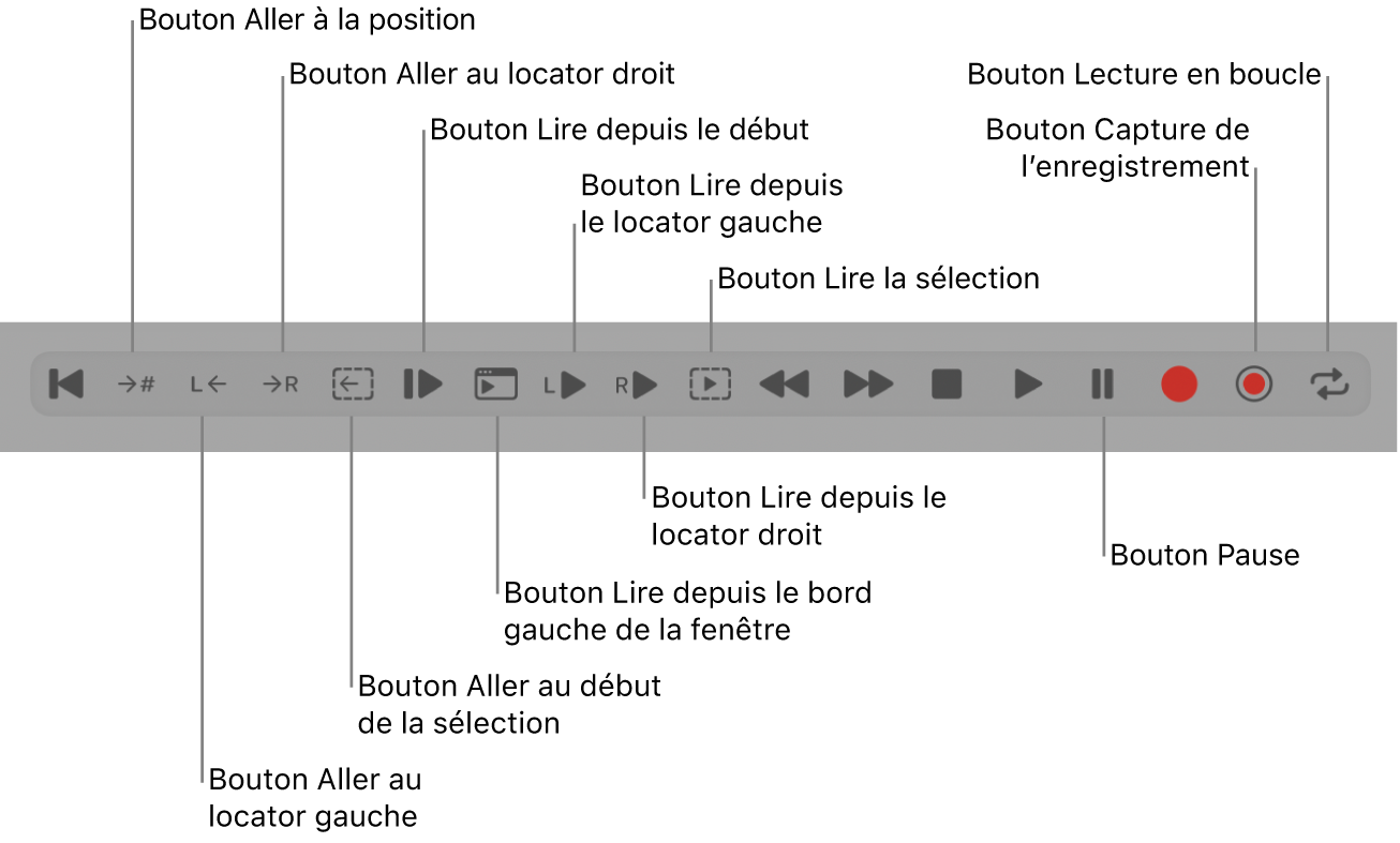 Figure. Boutons de transport, avec tous les boutons supplémentaires.