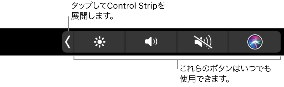 図。Touch BarのControl Strip。