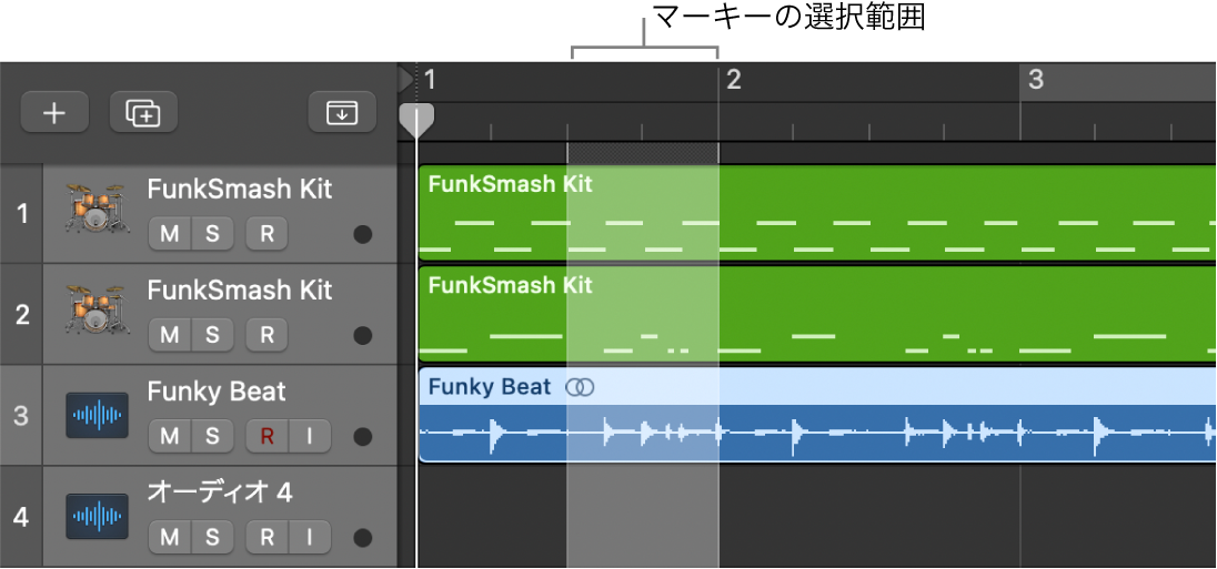 図。マーキーの選択範囲が表示されたマーキールーラ。