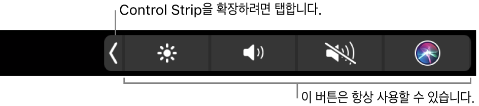 그림. Touch Bar Control Strip.