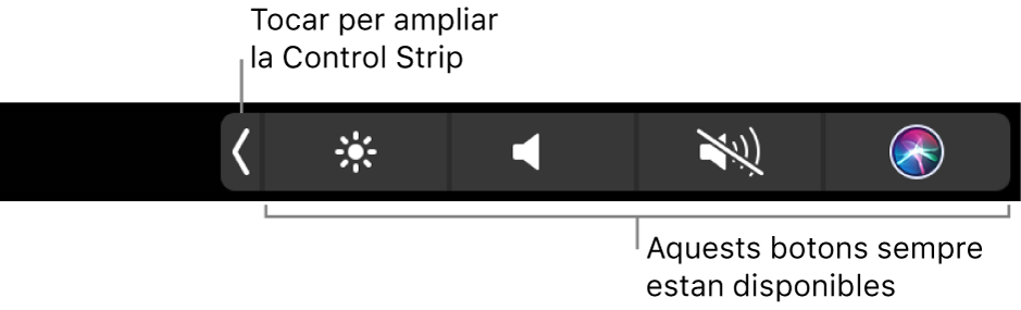 Figura. Control Strip de la Touch Bar.