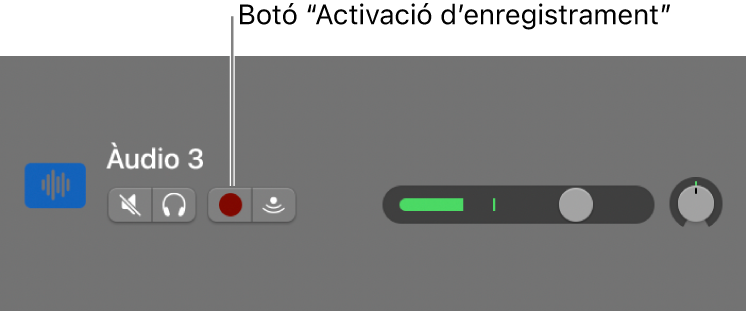 Capçalera de pista amb el botó “Activació d’enregistrament”.
