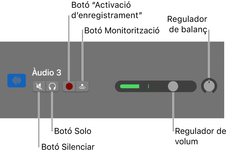 Capçalera de pista amb una descripció dels controls.