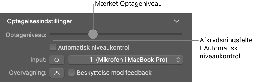 Mærket Optageniveau og afkrydsningsfeltet Automatisk niveaukontrol i Info om Smart Controls.