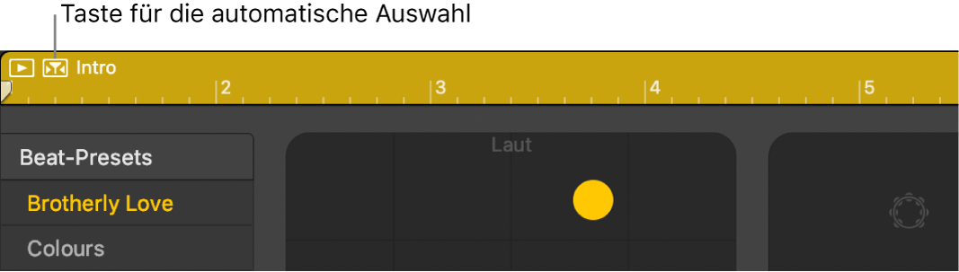 Taste für die automatische Auswahl