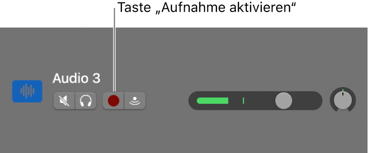 Spur-Header mit Taste „Aufnahme aktivieren“