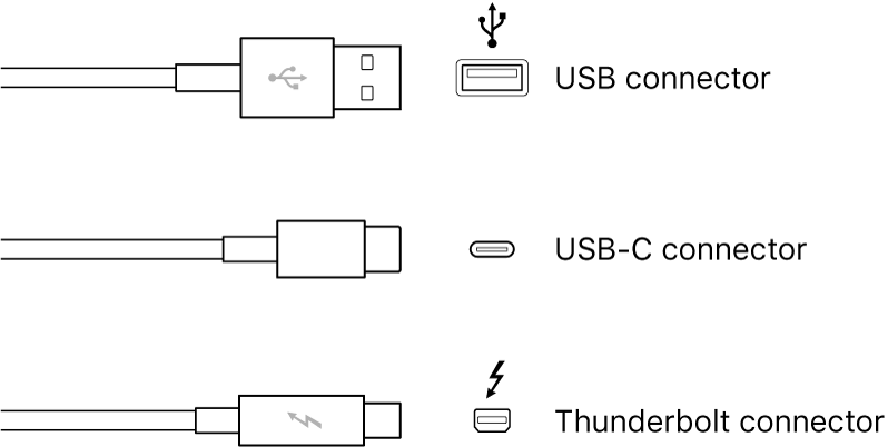 Illustration of USB and Thunderbolt connector types.
