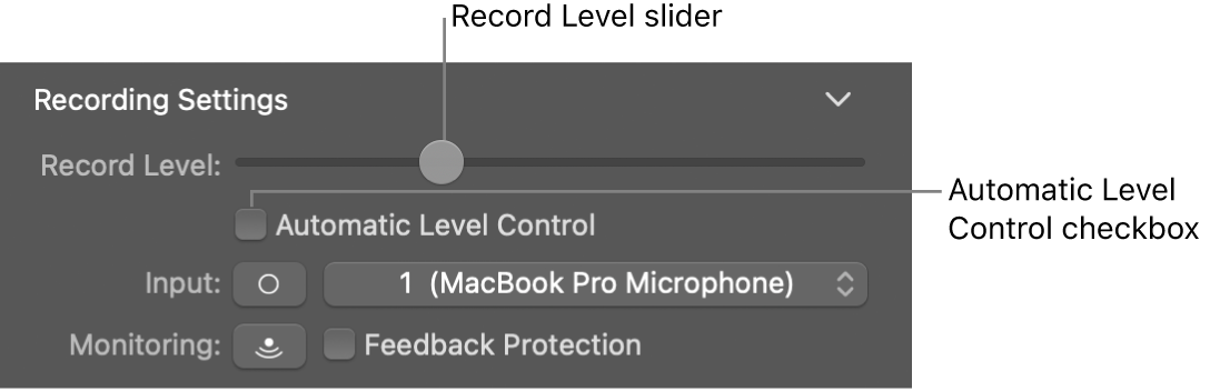 The Record Level slider and Automatic Level Control checkbox in the Smart Controls inspector.