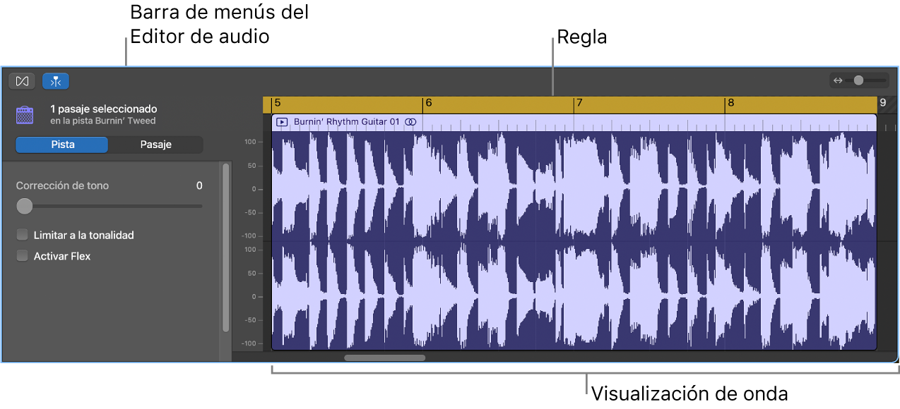 Editor de audio con un pasaje seleccionado.