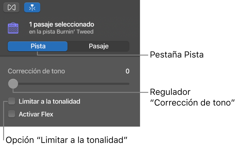 Inspector del editor de audio en modo Pista, con el regulador “Corrección de tono” y la casilla “Limitar a la tonalidad”.