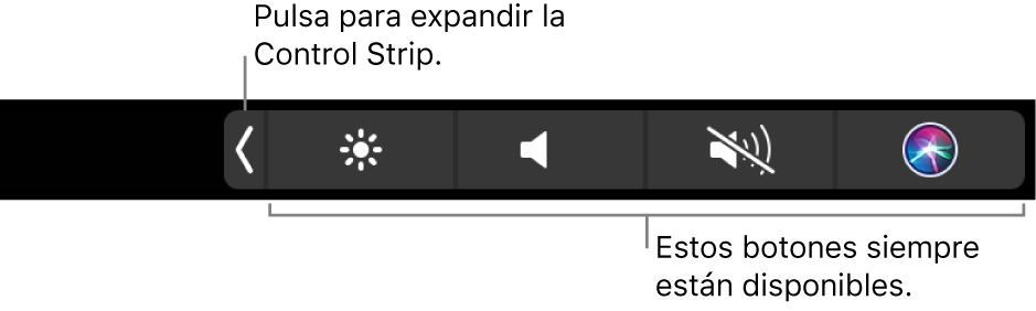 Ilustración. Control Strip de la Touch Bar.