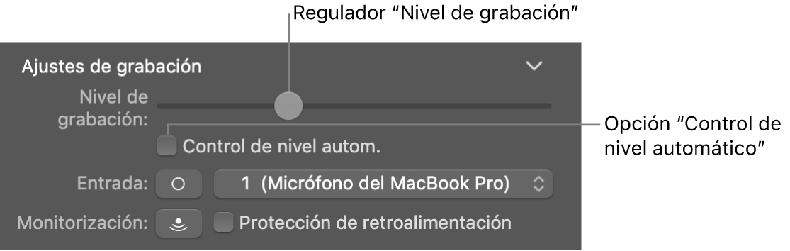 Regulador “Nivel de grabación” y casilla “Control de nivel automático” en el inspector de Smart Controls.
