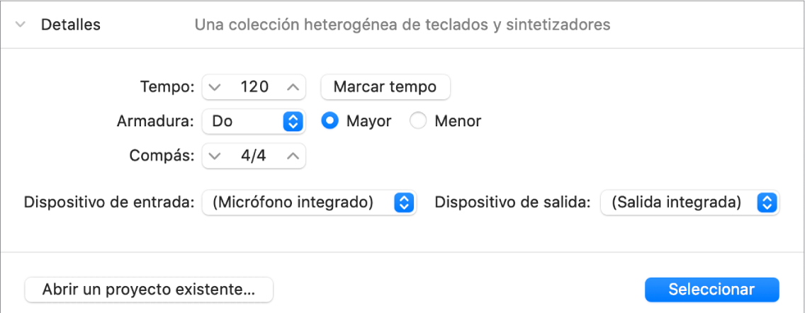 Área de detalles del selector de proyectos abierto, con parámetros