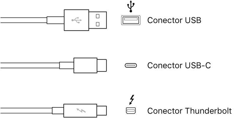 Ilustración de los tipos de conectores USB y Thunderbolt.