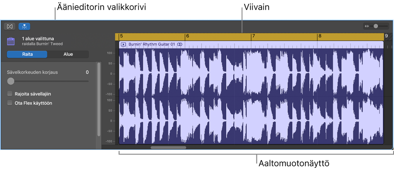 Äänieditori, jossa on alue valittuna.