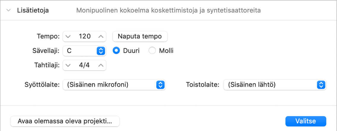 Avoinna oleva projektivalitsimen lisätietoalue, jossa näkyy parametreja