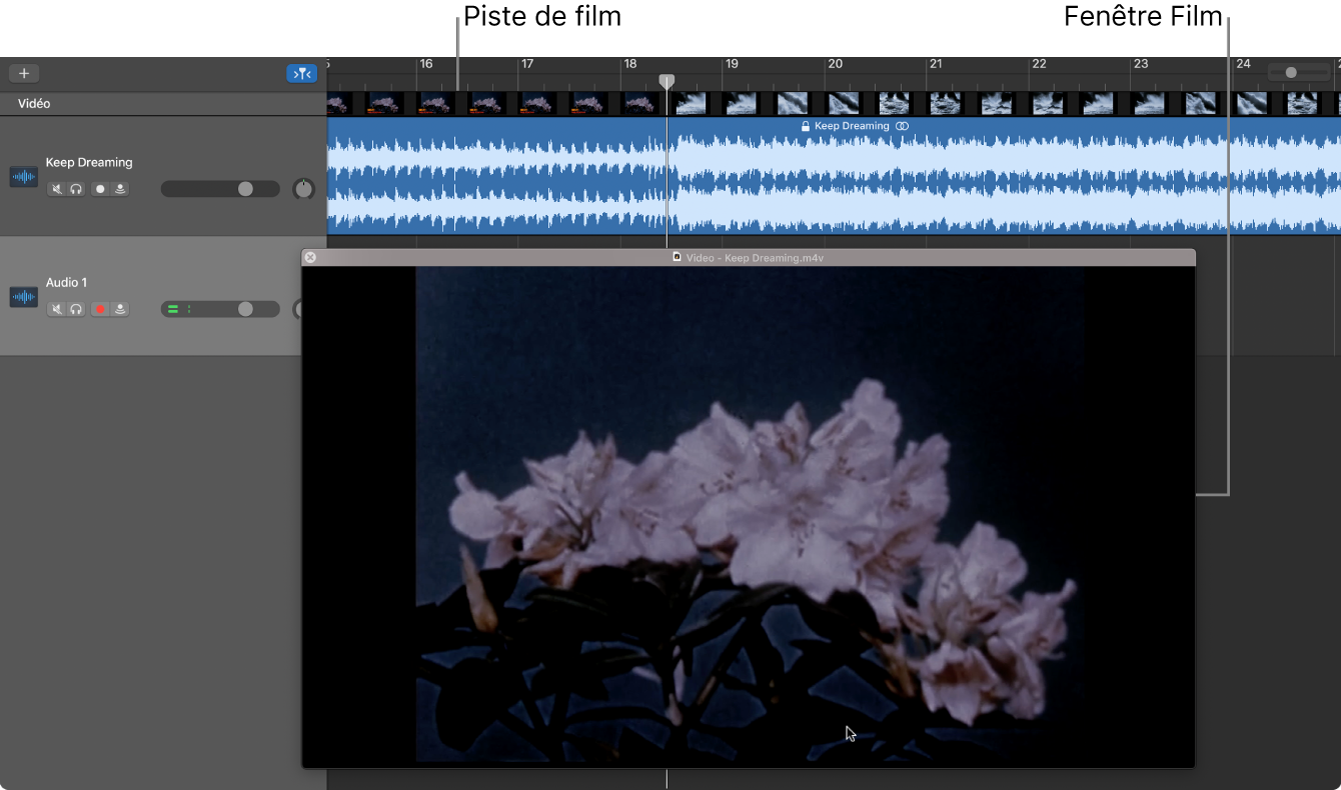 Fenêtre Film flottante et piste contenant la partie audio du film.