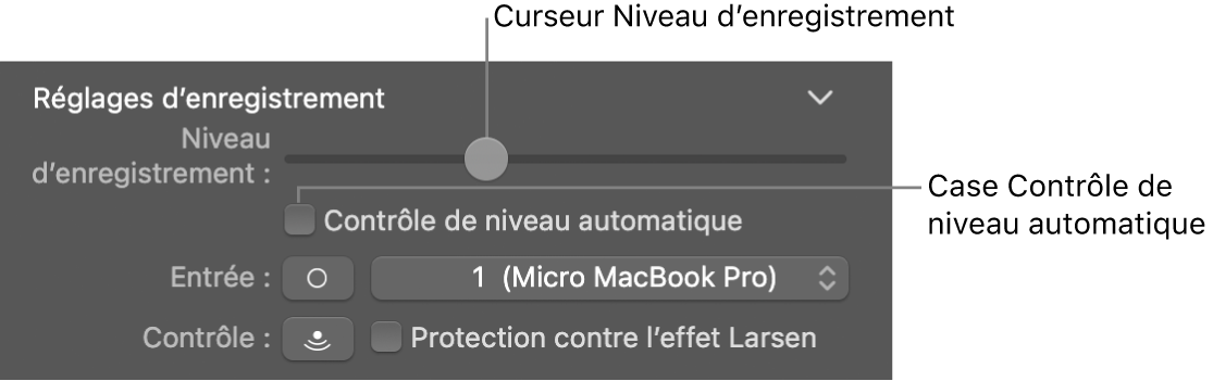 Curseur Niveau d’enregistrement et case Contrôle de niveau automatique dans l’inspecteur Smart Controls.