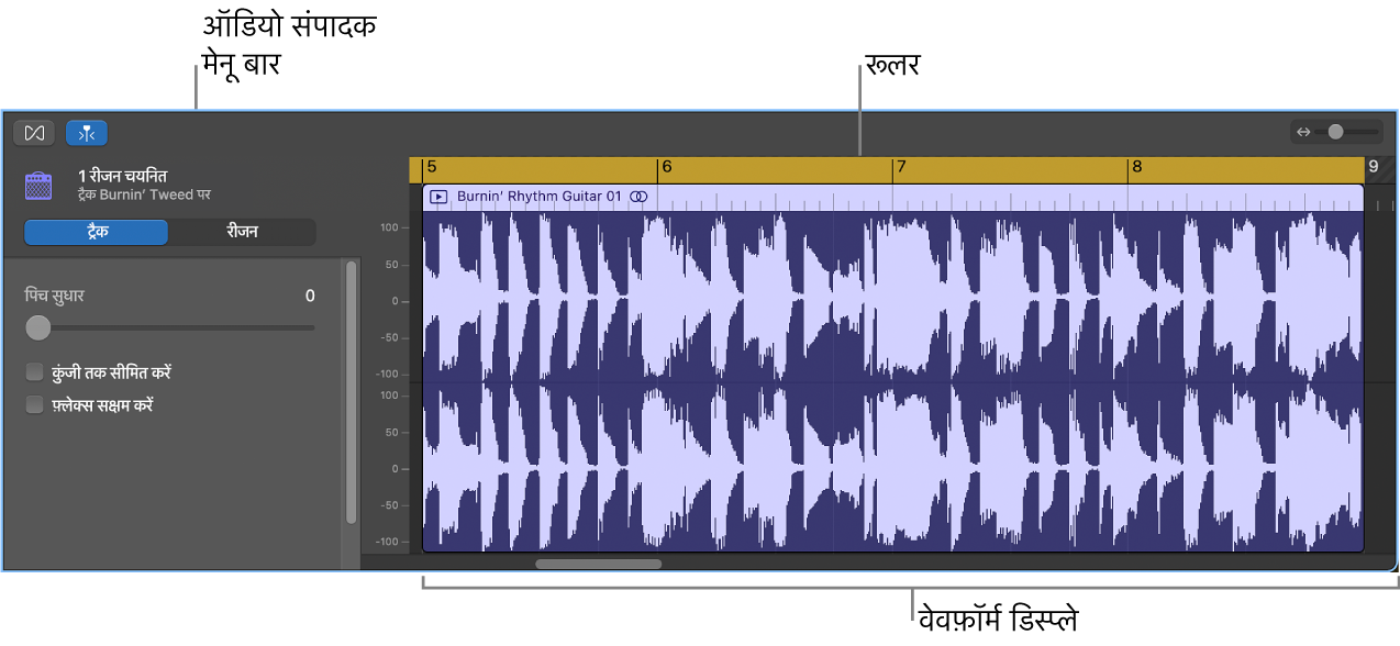 चयनित क्षेत्र के साथ ऑडियो संपादक।