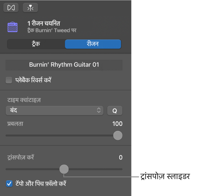 ऑडियो संपादक इंस्पेक्टर द्वारा क्षेत्र मोड में पक्षांतरण स्लाइडर दिखाया जा रहा है।