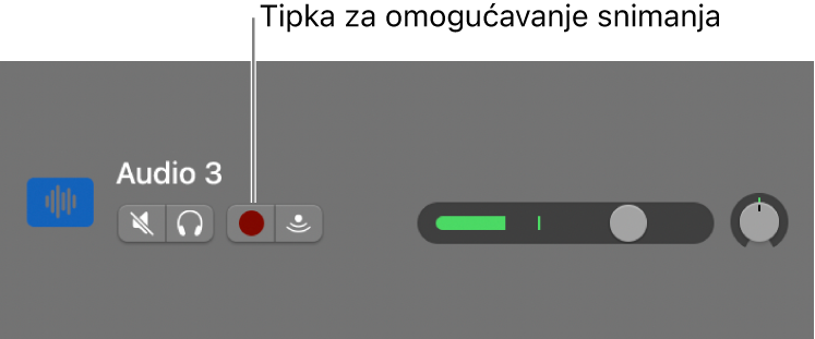 Zaglavlje zapisa prikazuje tipku Omogući snimanje.