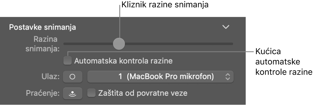 Kliznik razine snimanja i kućica Automatska kontrola razine u inspektoru Smart Controls.