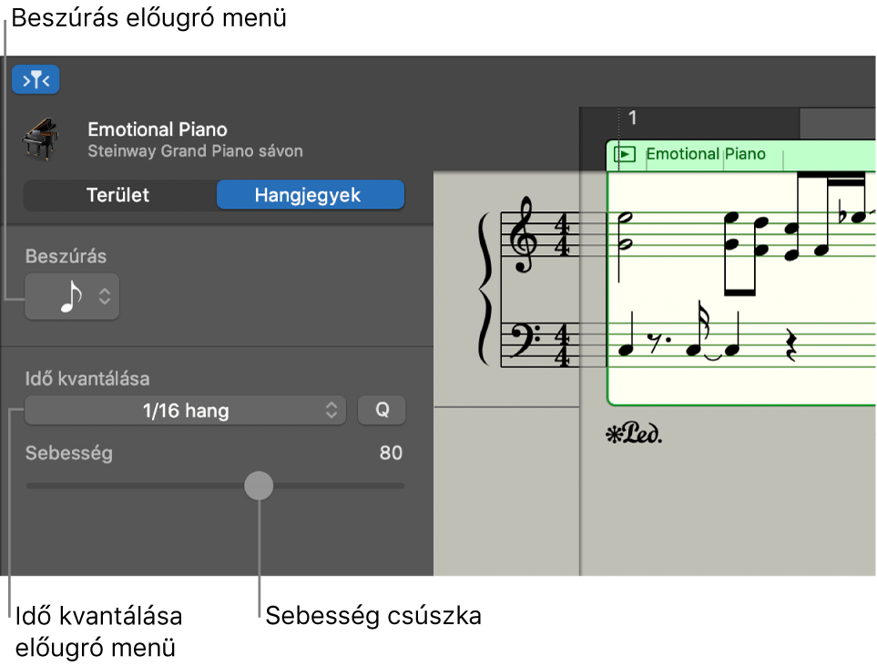 A Kottaszerkesztő vizsgálója Hangjegyek módban a vezérlőkkel.