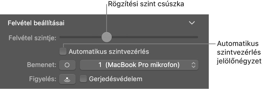 A Rögzítési szint csúszka és az Automatikus szintvezérlés jelölőnégyzet a Smart Controlok vizsgálójában.