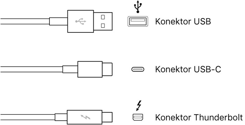 Ilustrasi jenis konektor USB dan Thunderbolt.