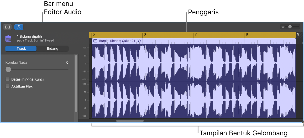 Editor Audio dengan bidang yang dipilih.