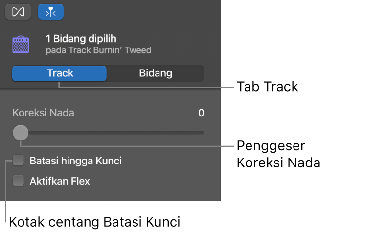 Inspektur Editor Audio dalam mode Track, yang menampilkan penggeser Koreksi Nada dan kotak centang Batasi Hingga Kunci.