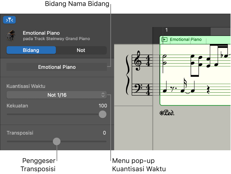 Inspektur Editor Notasi dalam mode Bidang, yang menampilkan kontrol.