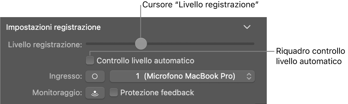 Il cursore “Livello registrazione” e l’opzione “Controllo livello automatico” nell’inspector “Smart Control”.