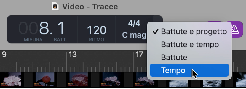 LCD nella barra di controllo, con scelta formato Tempo.