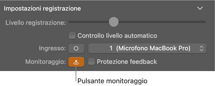 Il pulsante Monitoraggio nell’inspector “Smart Control”.