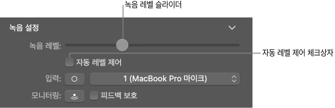 Smart Controls 인스펙터의 녹음 레벨 슬라이더 및 자동 레벨 제어 체크상자.