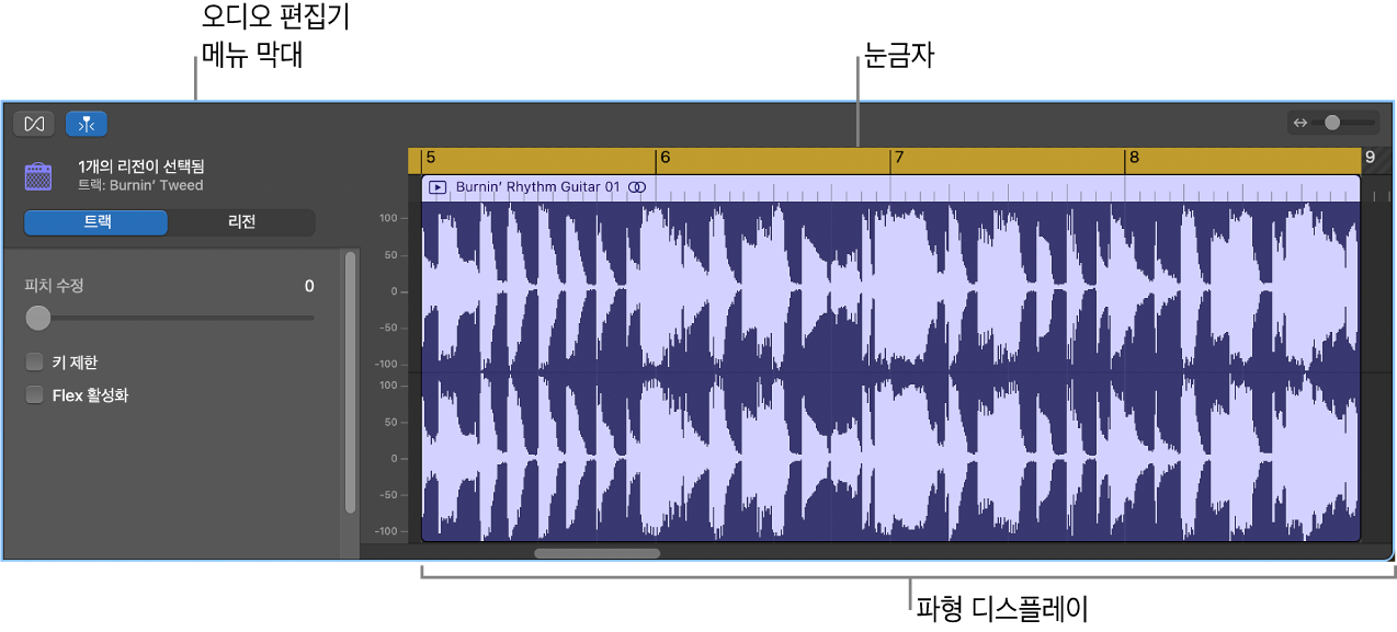선택한 리전이 있는 오디오 편집기.