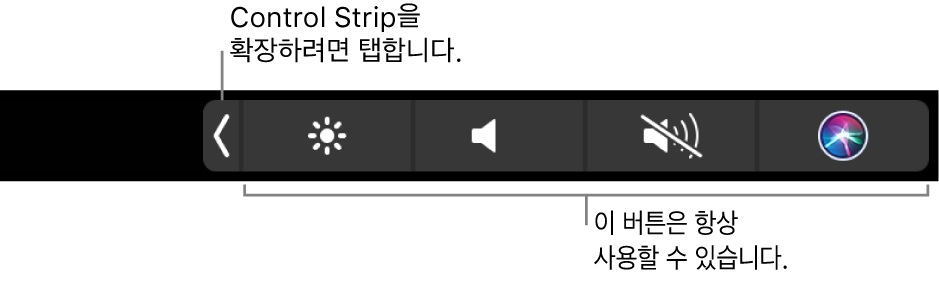그림. Touch Bar Control Strip.